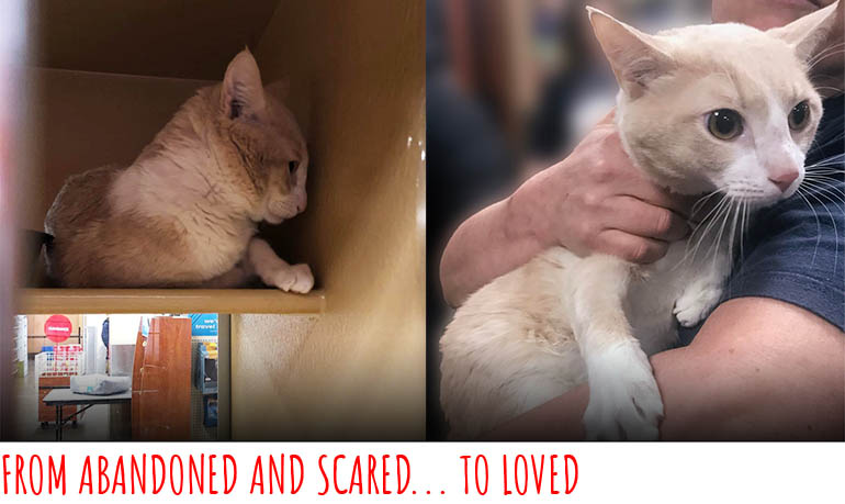 From abandoned and scared... to loved