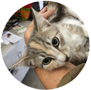 Claire holding a kitten at Petco